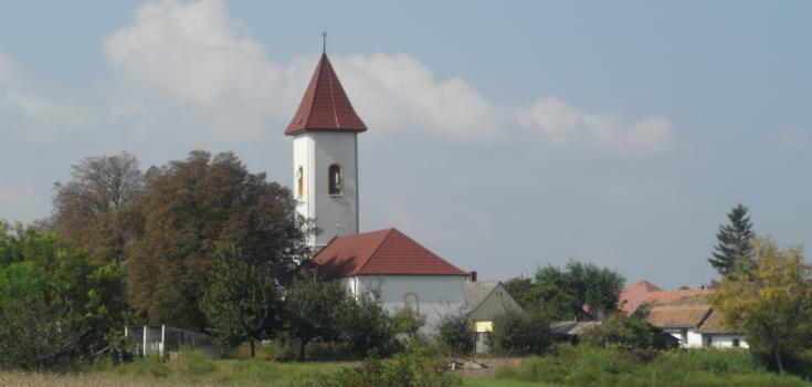 Moha 