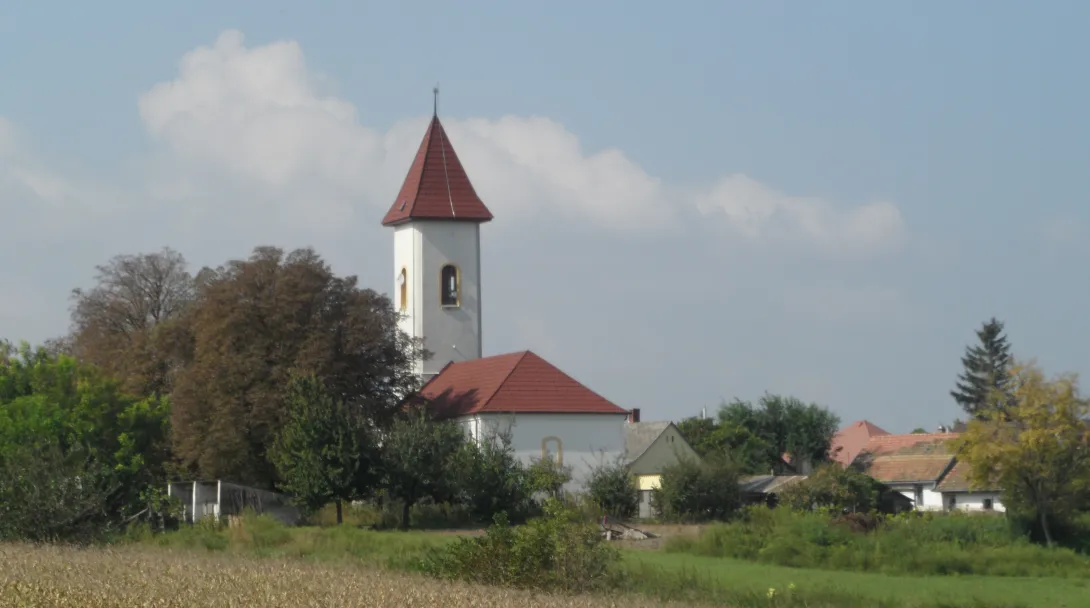 Moha 